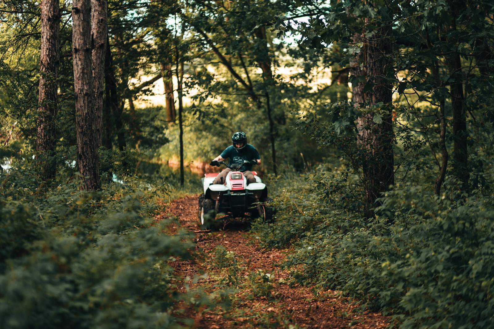 man and woman riding on black and white motorcycle in forest during daytime